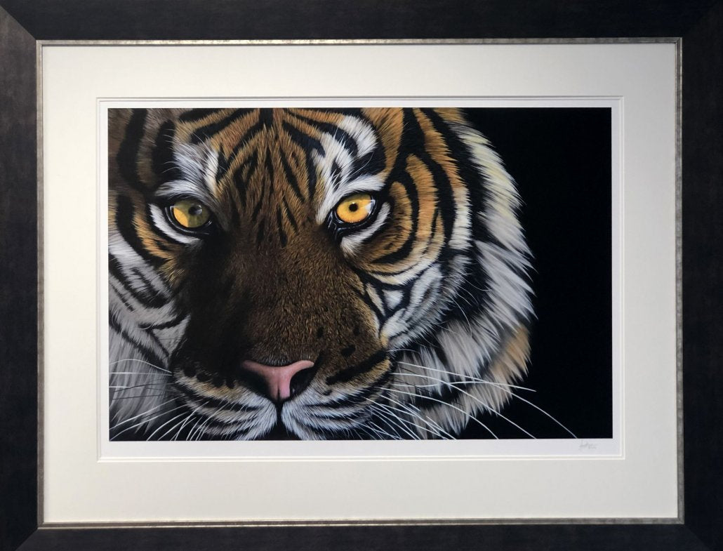 'Tiger Eyes' Limited Edition Print